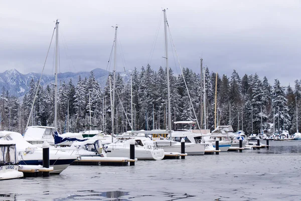 Vancouver Canadá Janeiro 2020 Uma Vista Doca Congelada Com Barcos — Fotografia de Stock