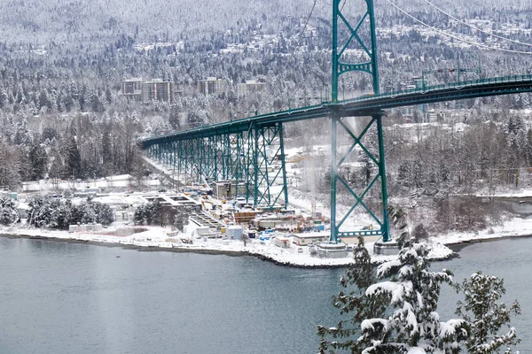 Vancouver Kanada Tammikuuta 2020 Näkymä Lions Gaten Sillalle Lions Gaten — kuvapankkivalokuva