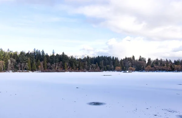 Frozen Lost Lagoon Lake Stanley Park Durante Tempesta Neve Freddo — Foto Stock