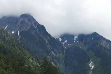 Sabahın erken saatlerinde Banff Ulusal Parkı, British Columbia, Kanada yakınlarındaki gizemli sisli dağ manzarası