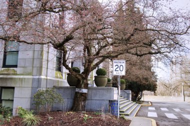 Vancouver, Canada - February 17, 2020: View of Vancouver City Hall Building in Downtown Vancouver at sunny day with Cherry blossom trees near the entrance