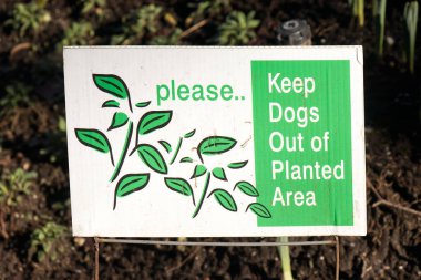 Vancouver şehir merkezindeki 