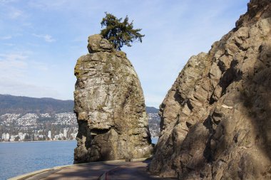 Stanley Parkı 'nda arka planda Batı Vancouver olan Güzel bir Siwash Kayası