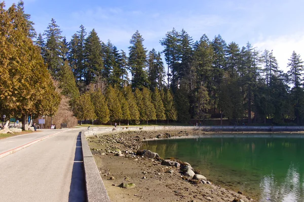 Utsikt Över Havsvattenvägen Solig Dag Stanley Park Vancouver Lågvatten — Stockfoto