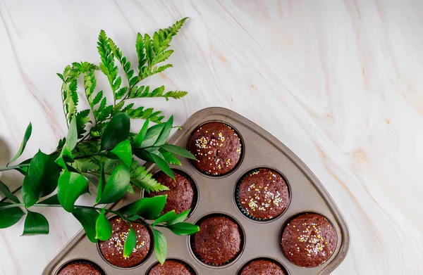 Brownies al cioccolato al forno con cospargere e rami verdi . — Foto Stock