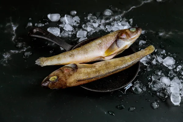 Whole fresh fish with ice on black background. Top view.