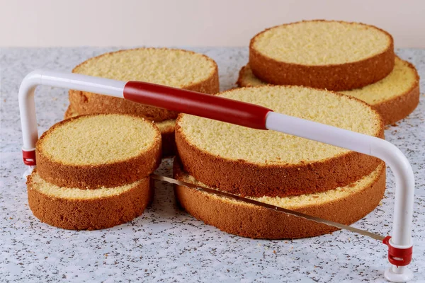 Torta Spagna Affettata Con Livellatore Sul Tavolo Fare Torta Nuziale — Foto Stock