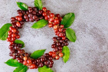 Gri arkaplanda kırmızı üzüm ve yaprakların deseni.