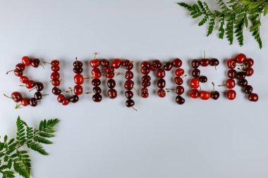 Beyaz yüzeyde yaz sezonu geçmişi. Üst görünüm.