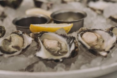 Taze istiridyeler tabakta buzla yakın plan.