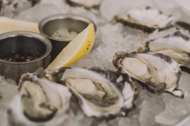 Taze istiridyeler tabakta buzla yakın plan.