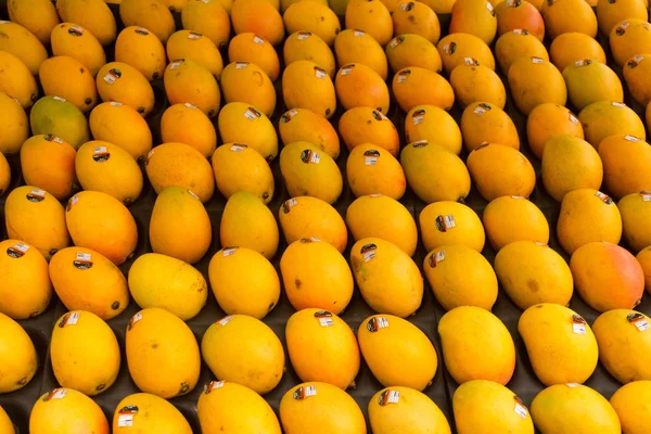 Eine Menge Stück Mango perfekt in Reihe organisiert — Stockfoto