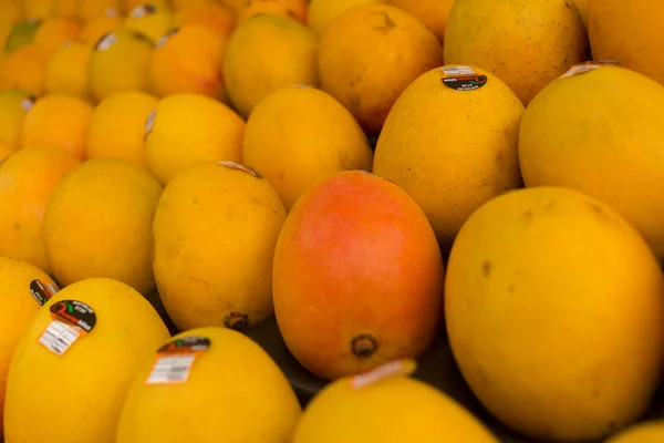 Eine Menge Stück Mango Perfekt Reihe Organisiert — Stockfoto