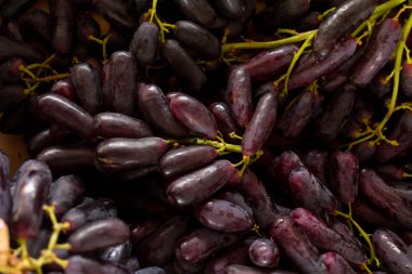 Bir demet siyah üzüm, yakın çekim.