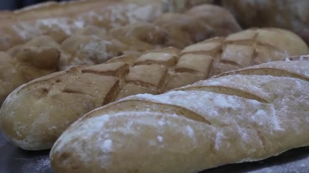 Χρυσά Ρουστίκ Καρβέλια Ψωμί Και Ψωμάκια — Αρχείο Βίντεο