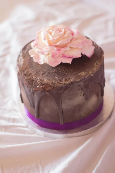 Шоколадный Торт Розовым Цветком Сверху Белом Фоне — стоковое фото