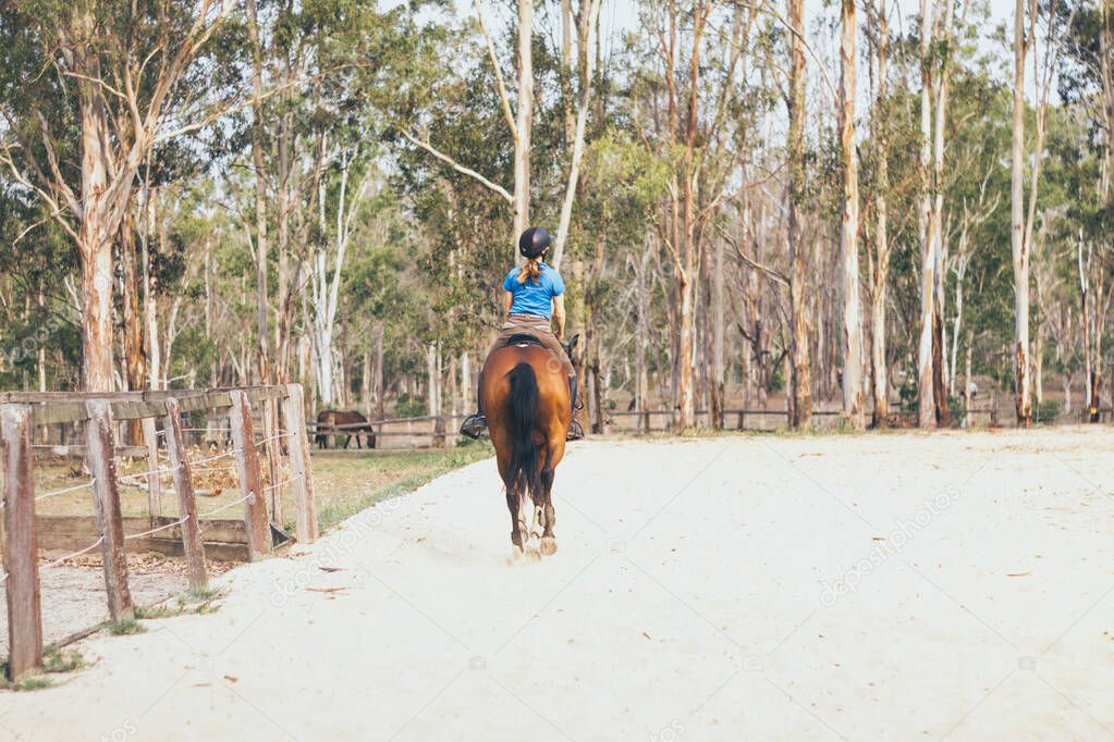 Woman rider her brown horse