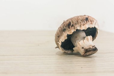 Sağlıklı Organik Çiğ Mantar Başlıkları, beyaz arkaplanda