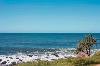Pasifik Okyanusu mavi gökyüzü ve yeşil çimenler. Altın Sahil, Avustralya