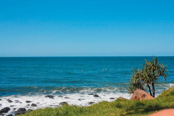 Paesaggio Pacifico Oceano Cielo Blu Erba Verde Gold Coast Australia — Foto Stock