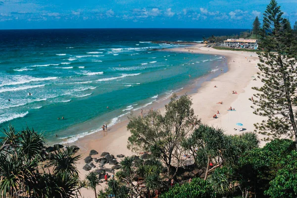 Zandstrand Met Palmbomen Goudkust Australië — Stockfoto