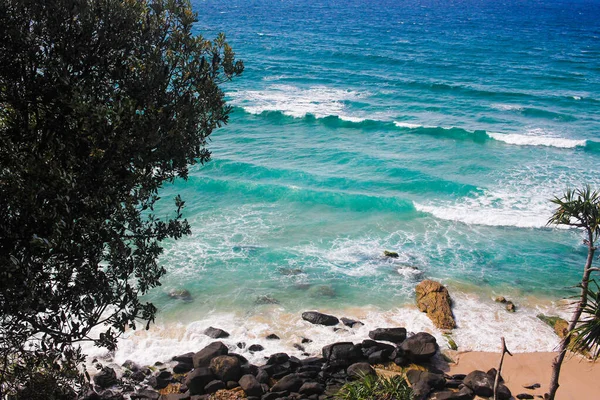 Піщаний Пляж Пальмами Золоте Узбережжя Австралія — стокове фото