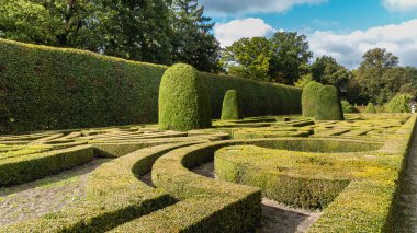 Şekilli Şimşir çalılar ile resmi Fransız Bahçe