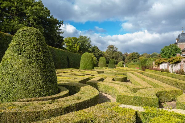 Формальный французский сад с кустарниками в форме дерева — стоковое фото