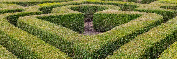 Formální Francouzská zahrada s tvarované zimostráze keře — Stock fotografie