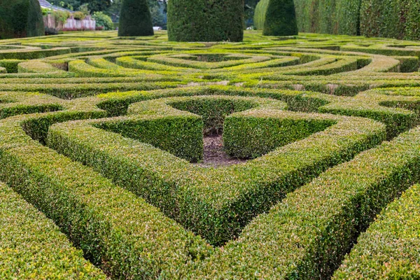 Jardín francés formal con arbustos de boj en forma — Foto de Stock