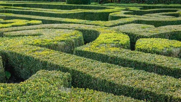 Formaler französischer Garten mit Buchsbaumbüschen — Stockfoto