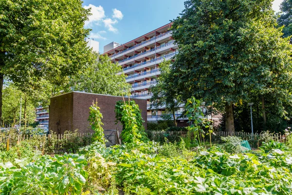 Städtischer Bauerngarten — Stockfoto