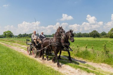 Markelo, Hollanda - 3 Haziran 2016: Geleneksel Hollanda taşıma erkekte 
