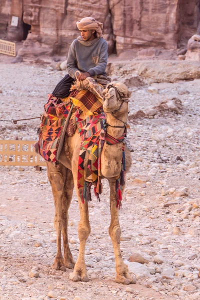 PETRA, JORDANIA - 28 DE ABRIL DE 2016: Joven beduino montado en camellos —  Fotos de Stock