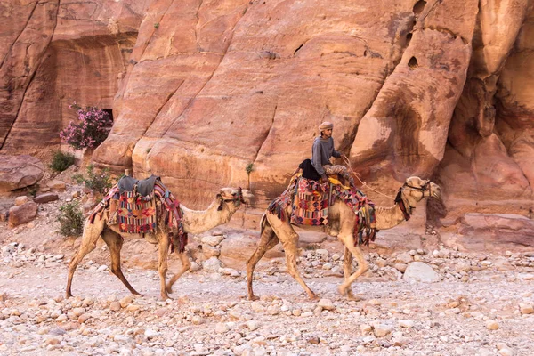 RÉSERVE DANA NATURE, JORDANIE - 27 AVRIL 2016 : Guide arabe dans la réserve nationale Dana — Photo