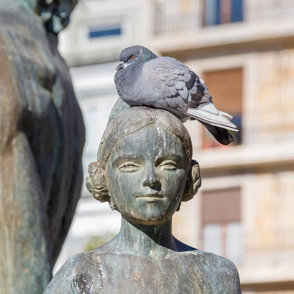 Valencia,Spain December 02, 2016: Pigeon on sculpture — Stock Photo, Image