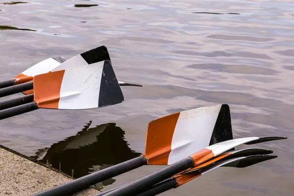 Renkli kürekler portre