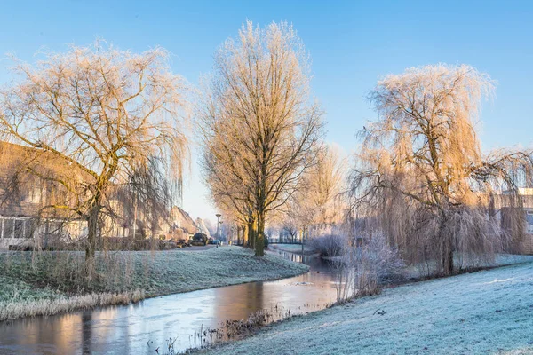 Frosted trees landscape — Stock Photo, Image