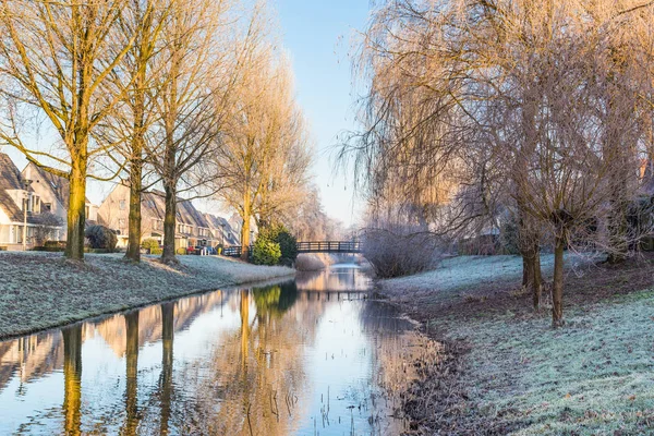 Frosted trees landscape — Stock Photo, Image