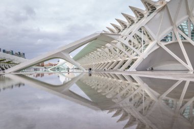 Valencia, İspanya - 01 Aralık 2016 sanat ve bilim kenti