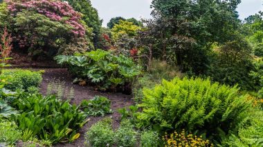 Bahar sırasında renkli İngiliz Kalesi bahçede Sussex, İngiltere