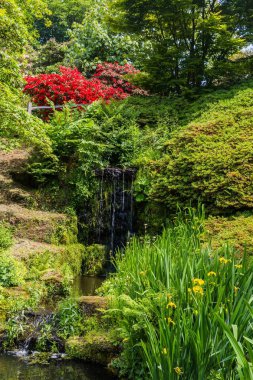 Bahar sırasında renkli İngiliz Kalesi bahçede Sussex, İngiltere