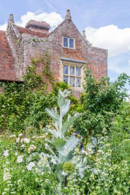 Bahar sırasında renkli İngiliz Kalesi bahçede Sussex, İngiltere