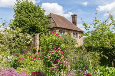 Eski İngiliz gül bahçesinde bahar sırasında Sussex, İngiltere