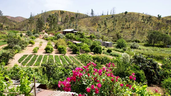 Landschap Monchique bergen in de Algarve in Portugal — Stockfoto