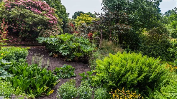 서 섹스, 영국에서에서 봄 동안 화려한 영국 성 정원 — 스톡 사진