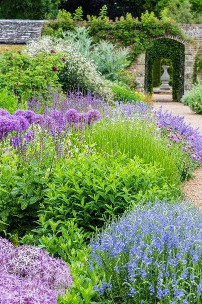 Bahar sırasında İngiliz Kalesi bahçesinde Sussex renkli kenarlık — Stok fotoğraf