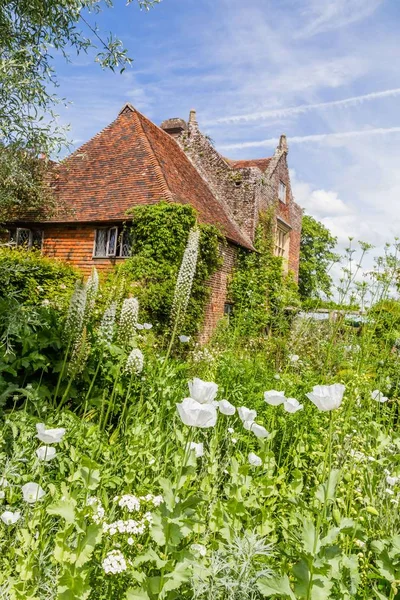 Bahar sırasında renkli İngiliz Kalesi bahçede Sussex, İngiltere