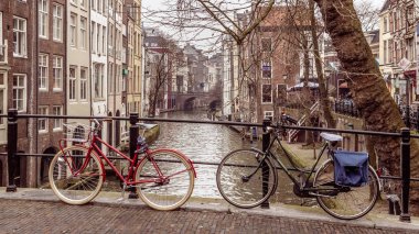 Park halindeki motosiklet Hollanda Utrecht