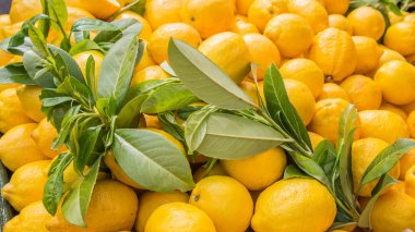 Bir Pazar taze limon